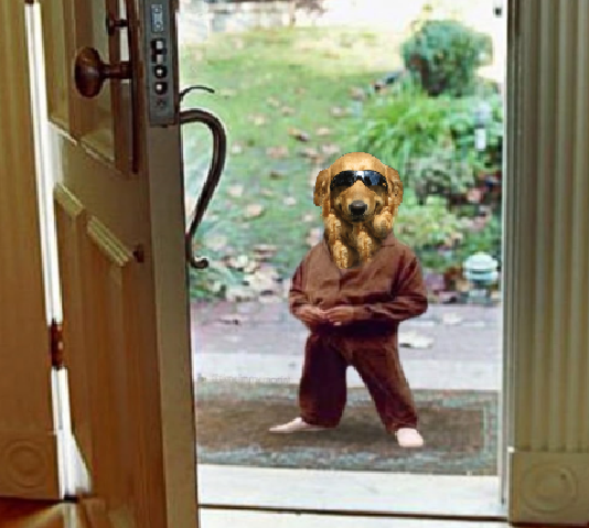 DAWG at the front door in a costume