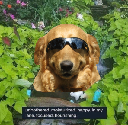 DAWG in a garden, unbothered and flourishing