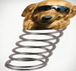 DAWG on a spring